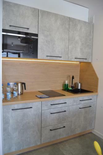 Apartament City Center Perfect - Luxury Standard