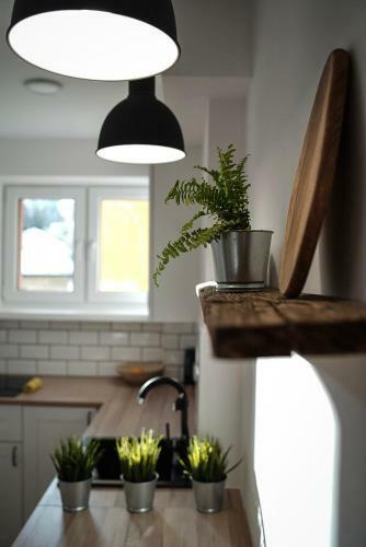 Apartamento Studio Krynickie