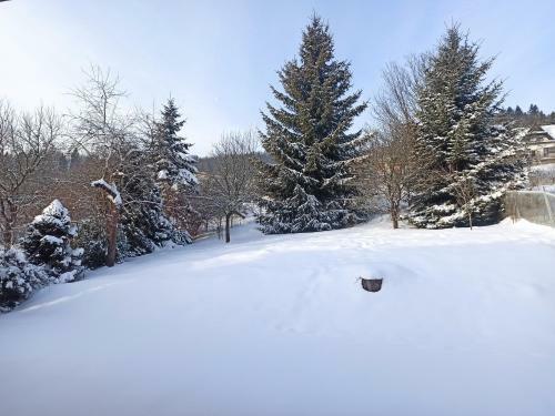 Apartament Krynica Centrum