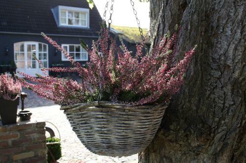 B&B De Droomhoeve