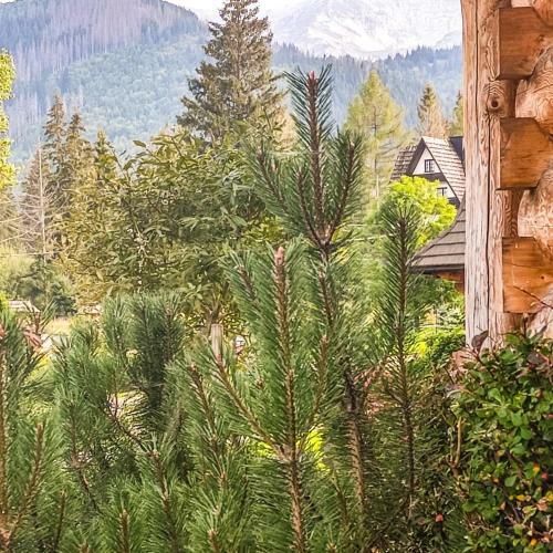 Bed & Breakfast Krokus Park Residence - Dla Doros?ych
