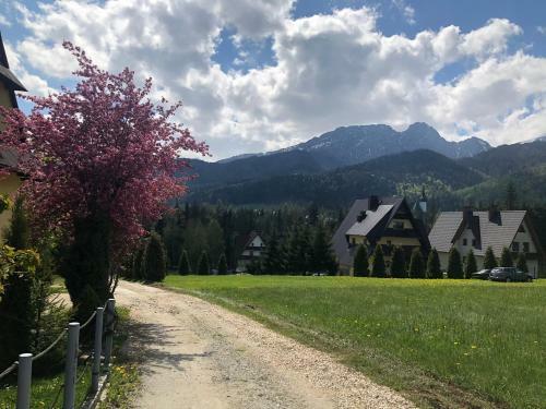 Tatraapart Rent E-bike