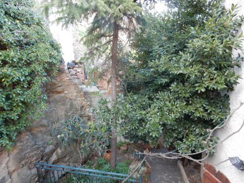Apartamento Cal Alemany
