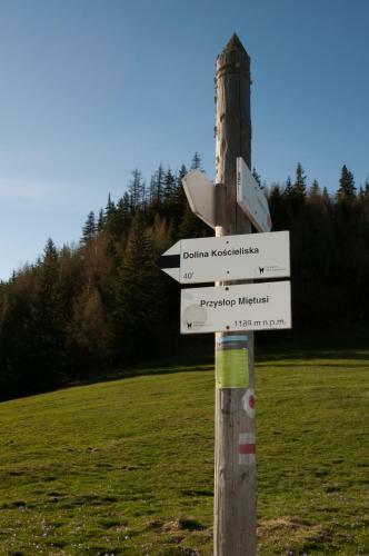 Apartament Zak?tek Mi?tusi