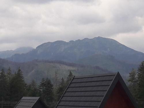Apartament "na Mocarni"