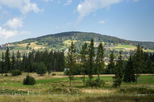 Apartment Giewont View Ko?cielisko By Renters