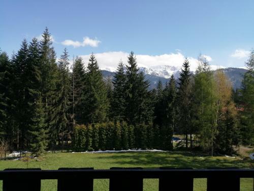 Drewniany Pokoik Tatra Travel