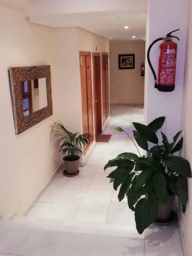 Apartamento La Dama Del Jard�n Del Nuncio