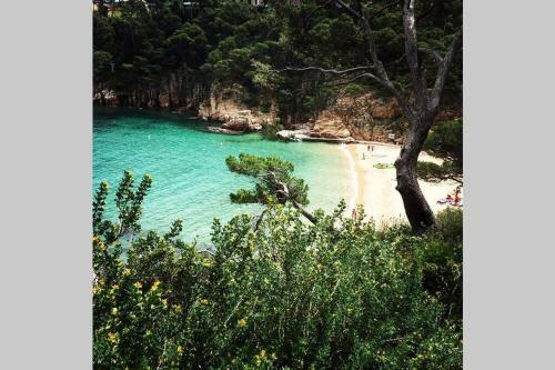 Torre Vella 74 Privat Pool