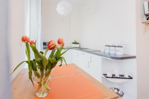 Garden Apartment