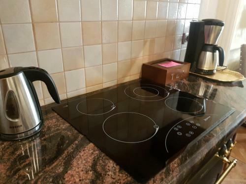 Goldstar Luxury Old Town Krakow Apartment