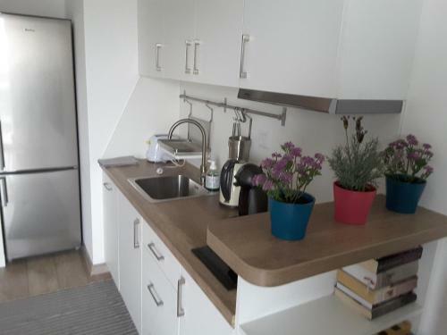 White Swan Apartment
