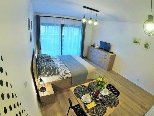 Polka Dot Cracow Apartament