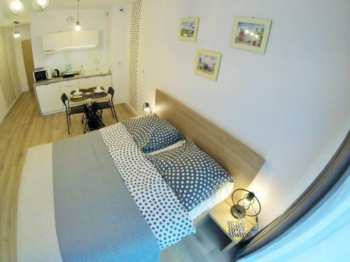 Polka Dot Cracow Apartament