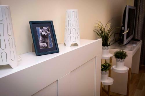 Amazing Apartment, City Centre, Modern, Elegant, Cozy