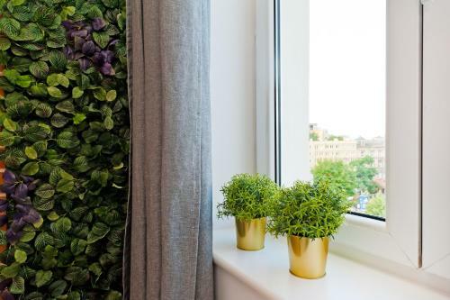 Apartamento Dietla 99 - Studio By Homeprime