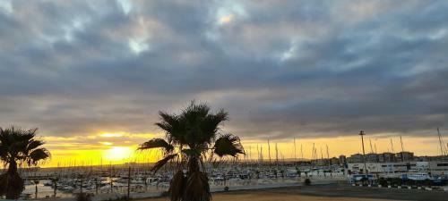 Apartamento Sofia La Mata