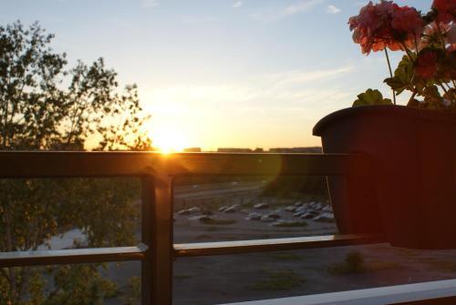 Apartament 88