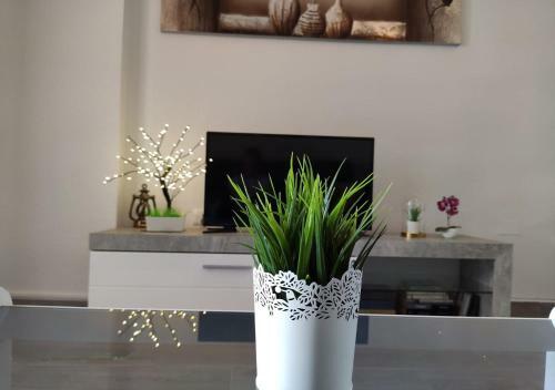 Eldorado Apartment La Mata