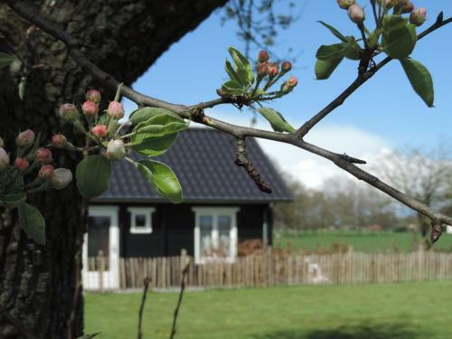 Apartamento B&B De Rozenkamp