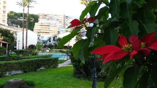 Apartamento Aloha Para�so