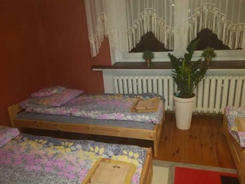 Hostel S?oneczny Anio?