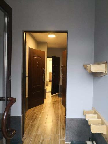 Apartamenty G�rskie L?dek-zdr�j