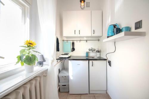 Apartamento Studio Nad Rzek?