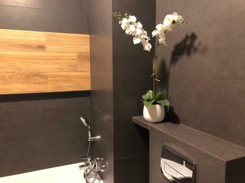 Apartament Chopina
