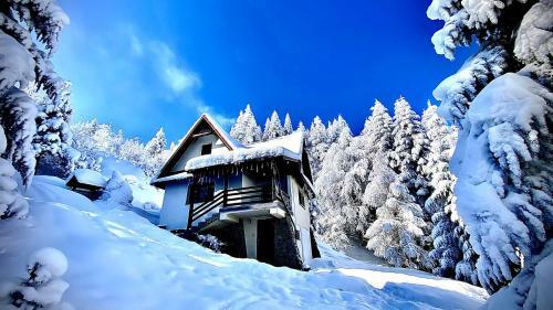 Mountain Cottage