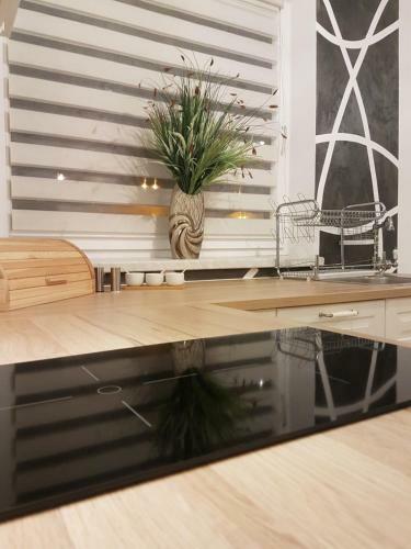 Apartament Nowe Maniowy