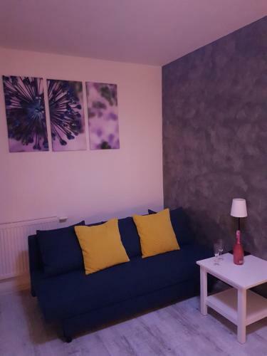 Apartament Nowe Maniowy