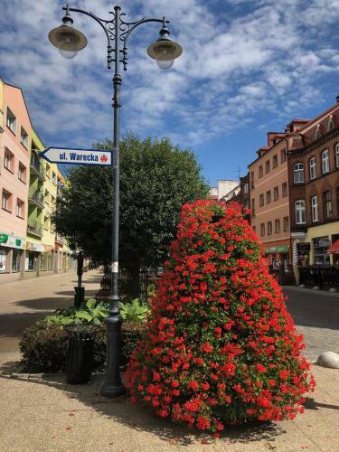 Apartament Warecka