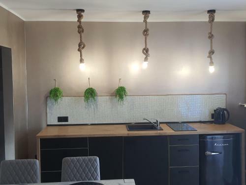 Apartament Nad Fontann?