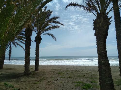 Apartamento Lugar Ideal