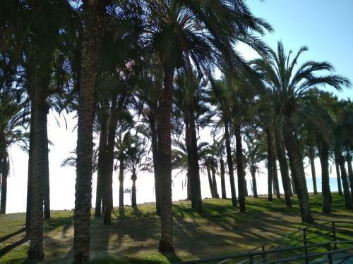 Apartamento Lugar Ideal