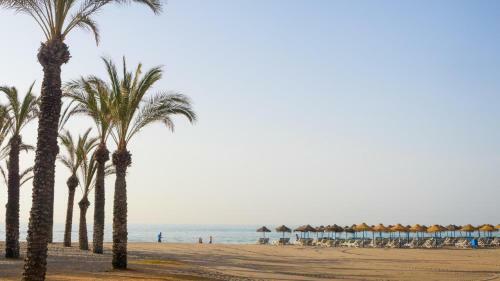 Apartamento Oasis Playamar