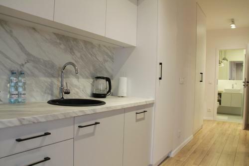 Apartment Arche Matejki