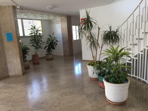 Apartamento El Saltillo