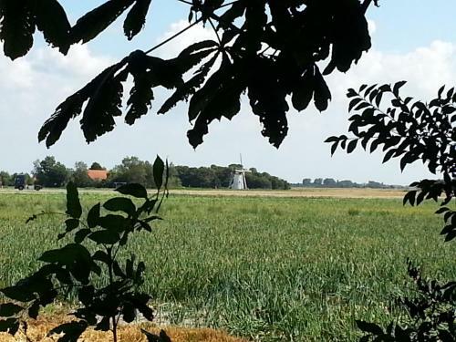 Vakantiewoningen De Schelp