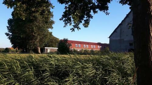 Vakantiewoningen De Schelp