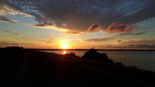 Vakantiewoningen De Schelp