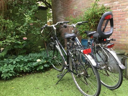Apartamento Studio Zaagmolen