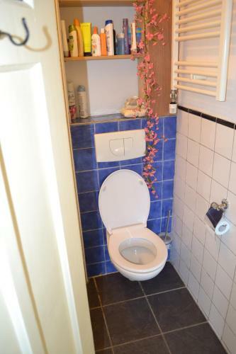 Bed & Bicycle Limes Oudwijk