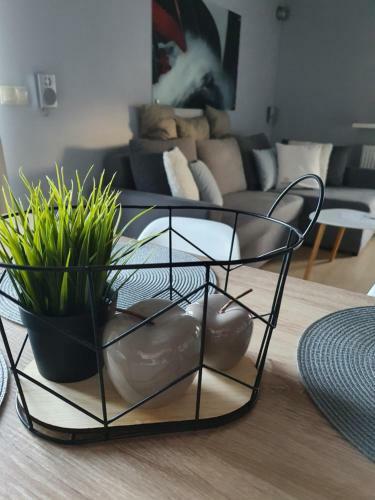 Apartament Silver Mi?dzywodzie