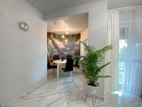 Apartamenty Turkus