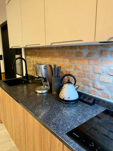 Apartament Muszyna
