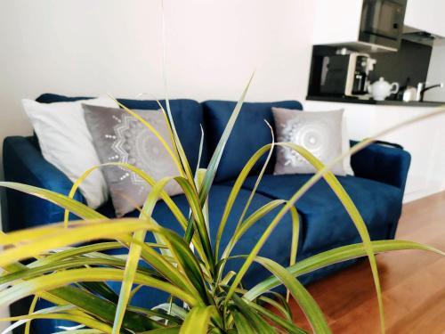 Apartamento R�?ana 2