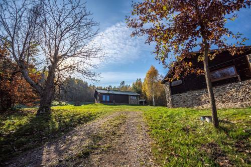 Siedlisko Zag�rze