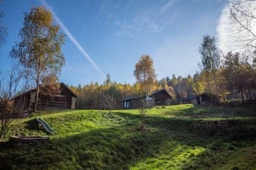 Siedlisko Zag�rze
